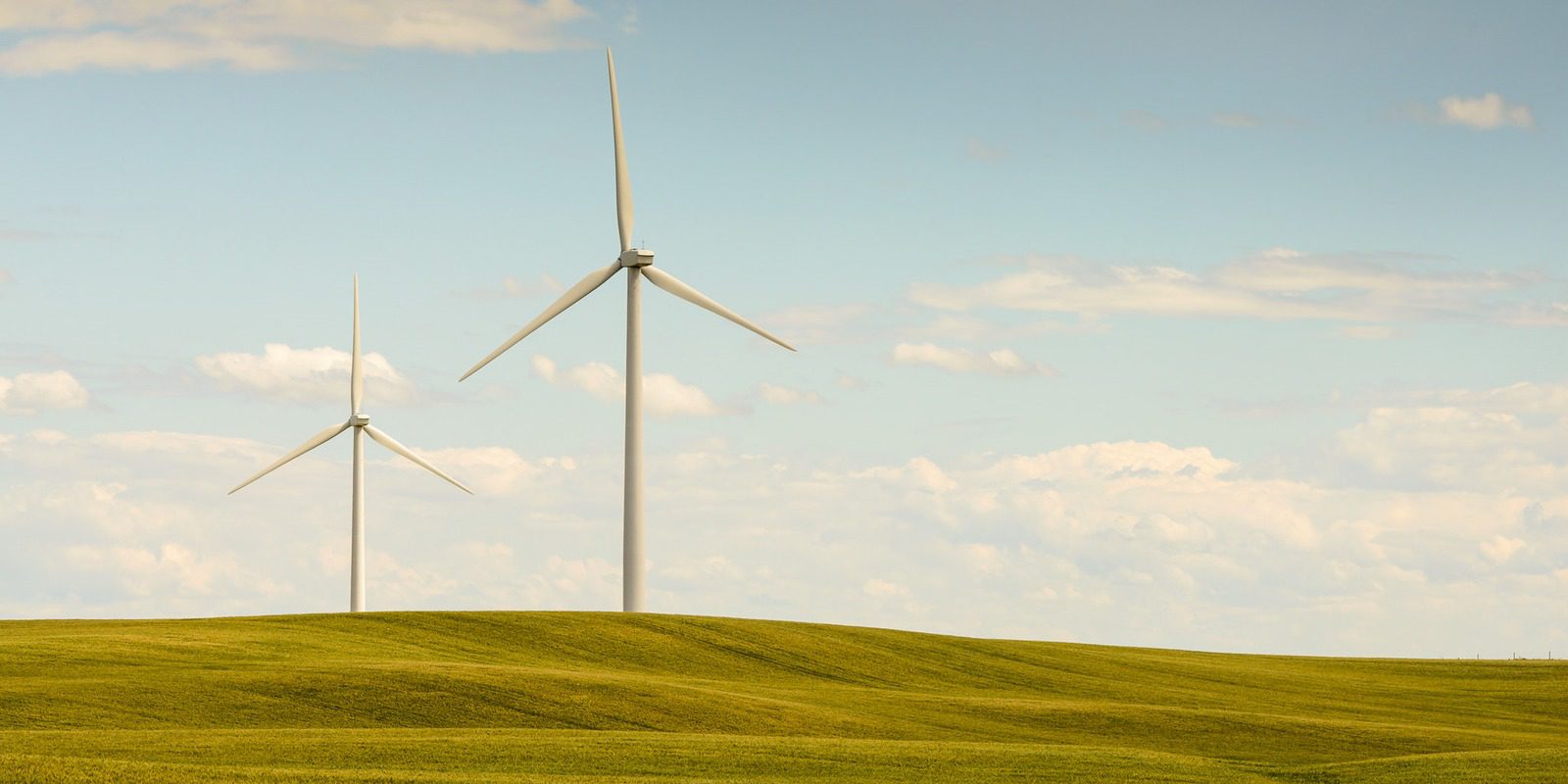 Wayne Stadler Photo Wind Power Alberta 2015-07-26