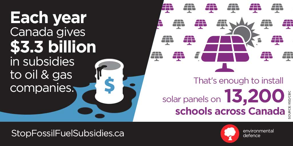 The elephant in the room: fossil fuel subsidies undermine carbon ...