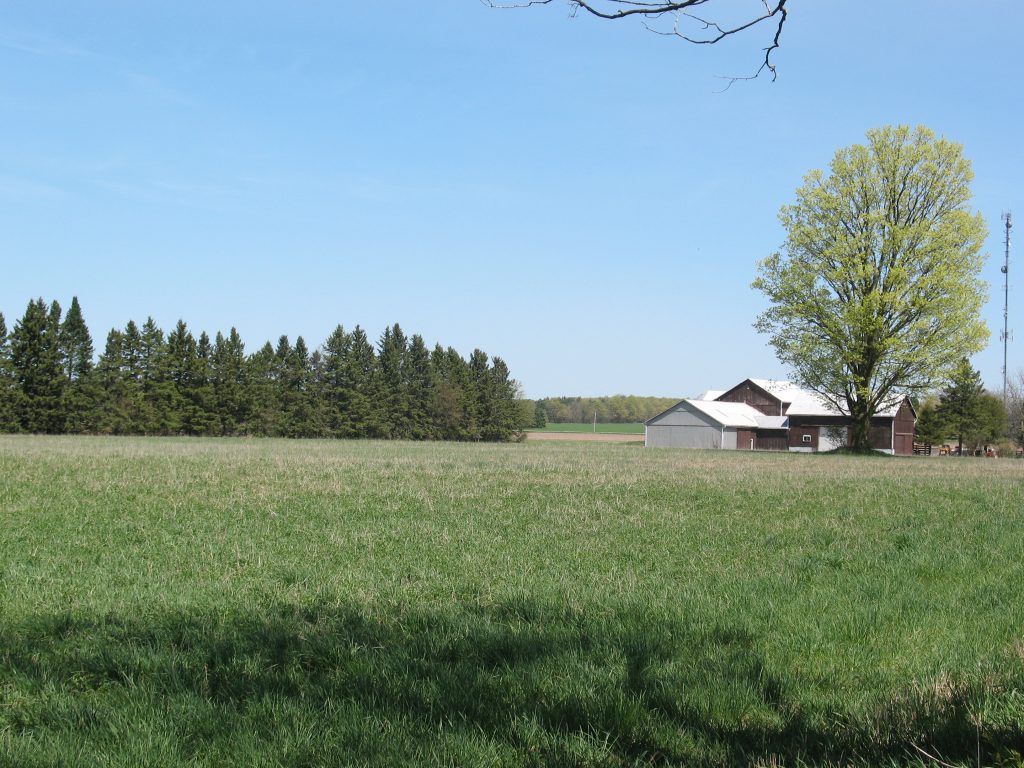 Farm in Midhurst. Photo courtesy of the Midhurst Ratepayers' Association