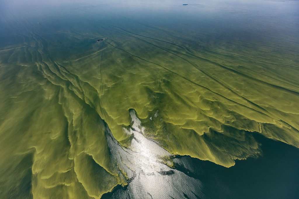 Lake Erie algal blooms August 2017 Photo Credit: Aerial Associates Photography, Inc. by Zachary Haslick