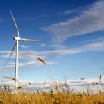 wind turbine in a field