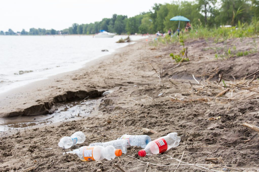 Plastic pollution on the shores of Lake Erie 