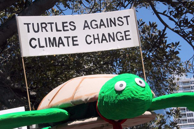 A giant model turtle carrying a sign: "Turtles against Climate Change"
