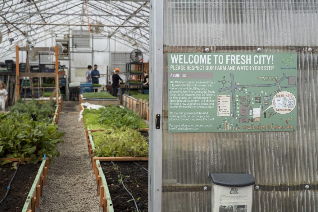 Looking in through the greenhouse doors to where local food is growing