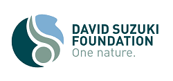 DSF New logo EN tagline