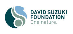 DSF New logo EN tagline DSF New logo EN tagline