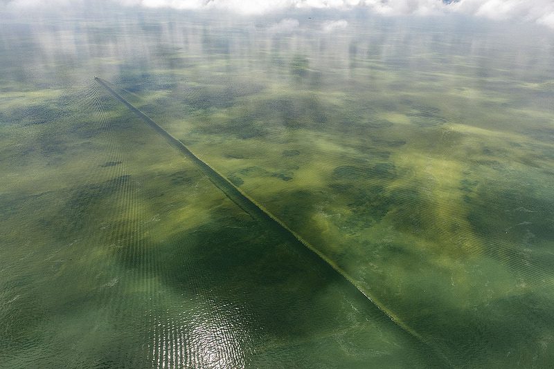 Aerial shot of 2017 Lake Erie algae bloom