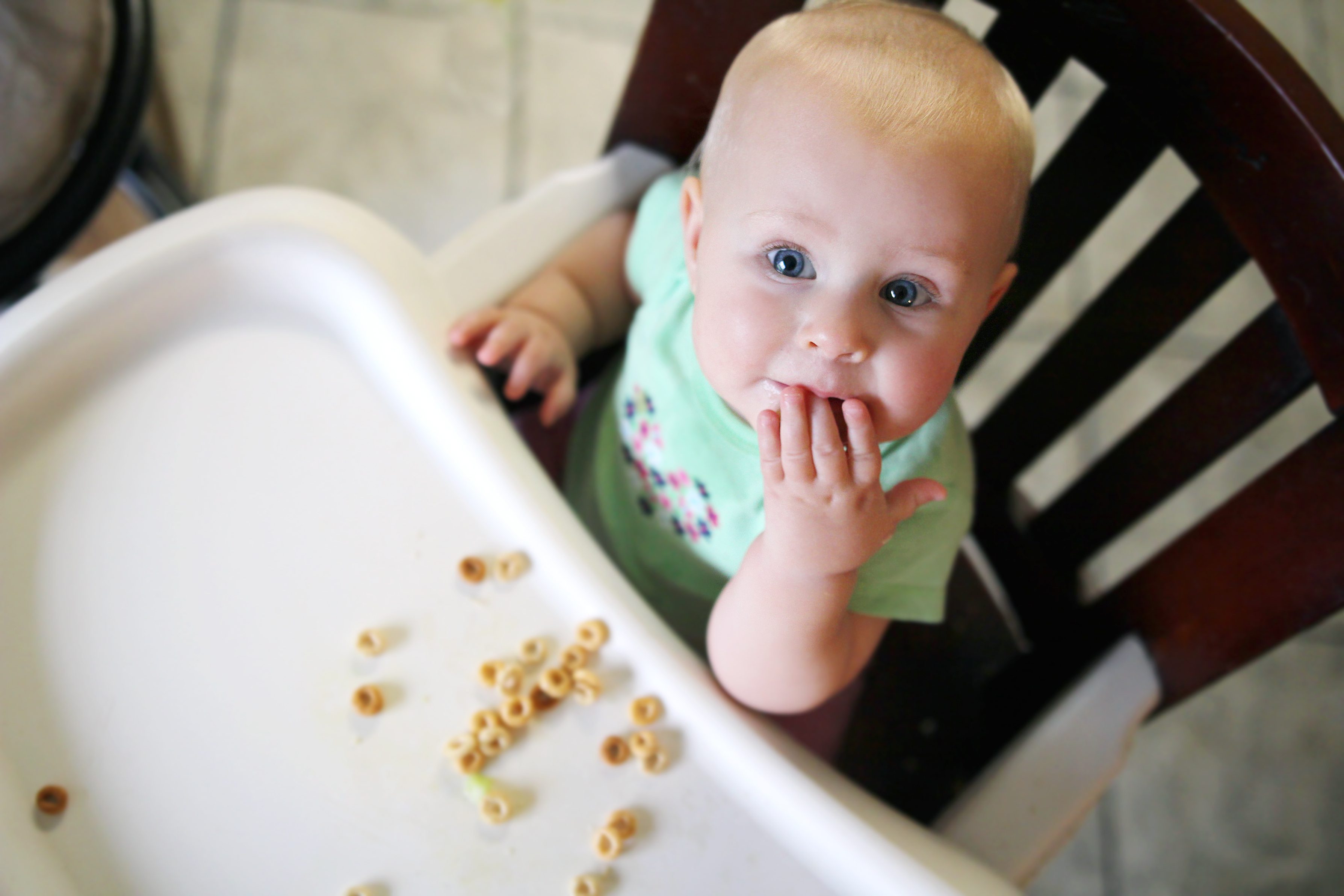 child baby eating cheerios with glyphosate