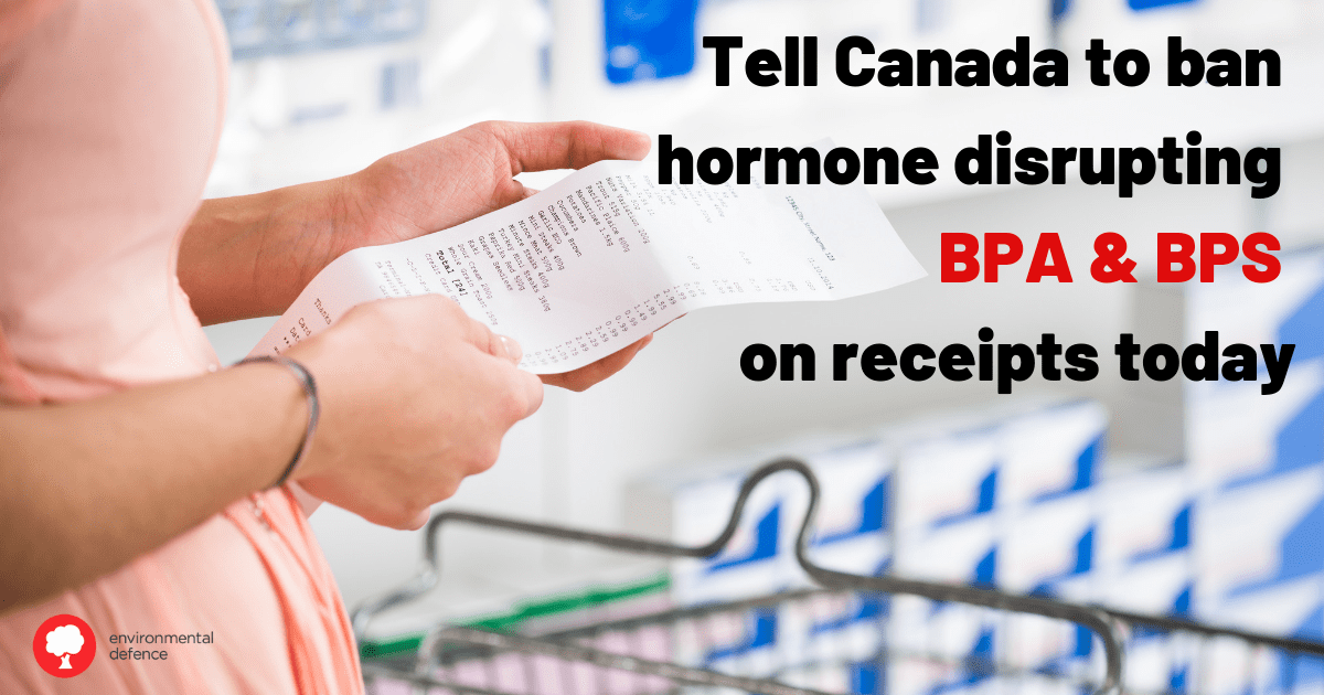 The hidden cost of receipts How BPA and BPS find their way into our