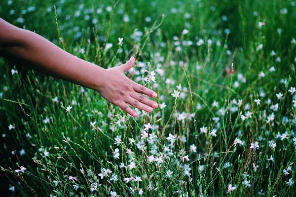 spring indoor air quality