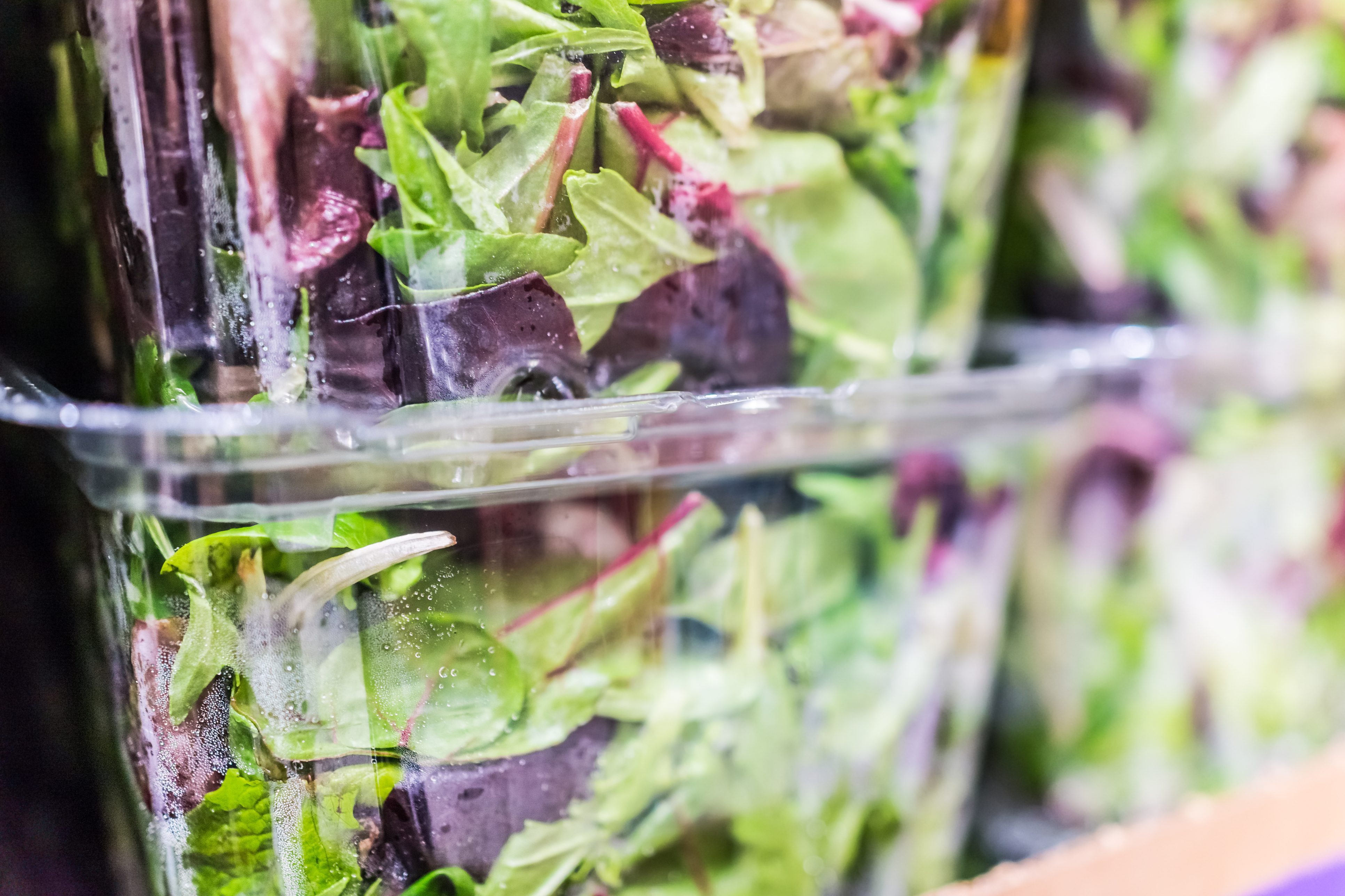 salad in plastic pollution boxes