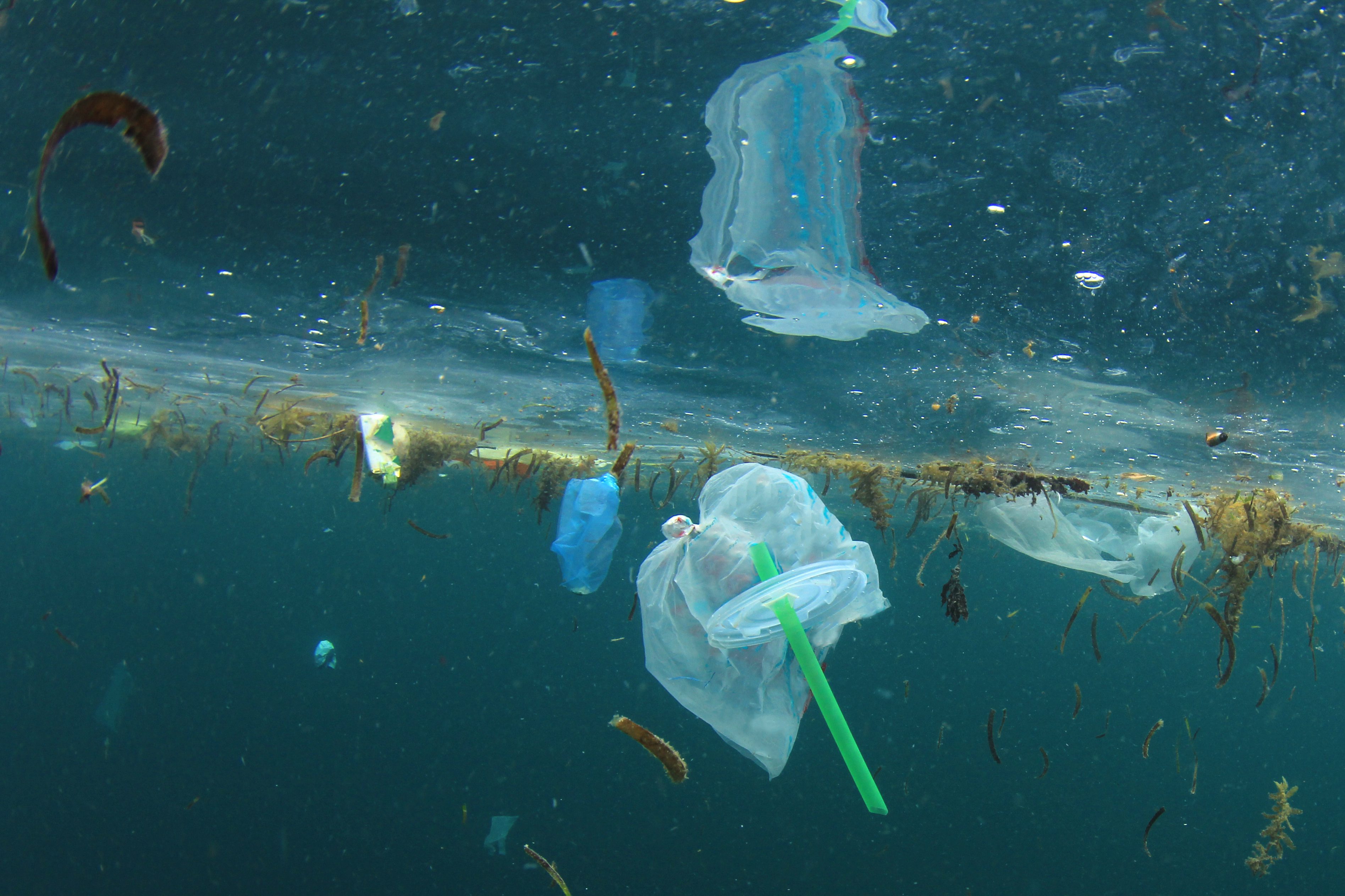 plastics in the oceans