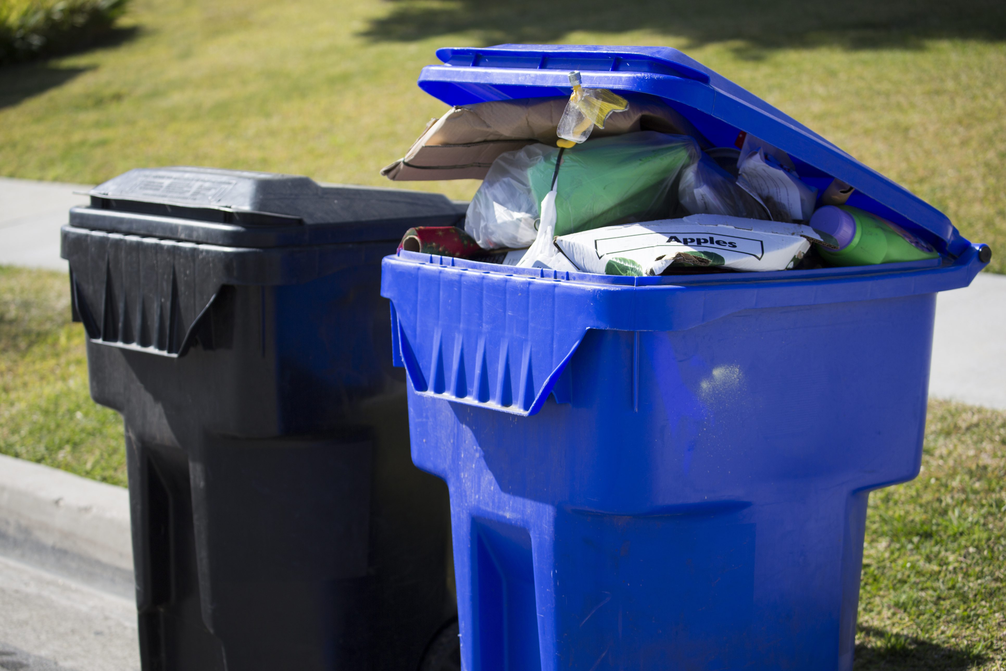 A garbage and a recycling bin wait for pick collection.