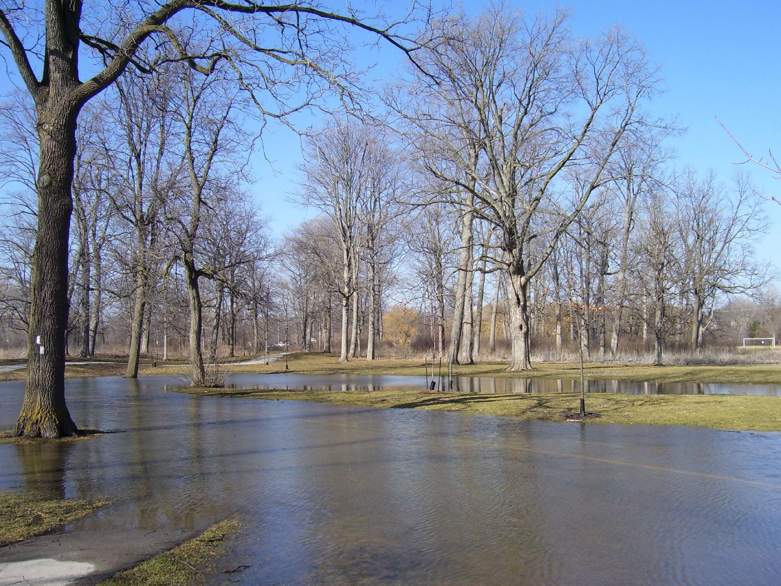 greenbelt climate change flood prevention