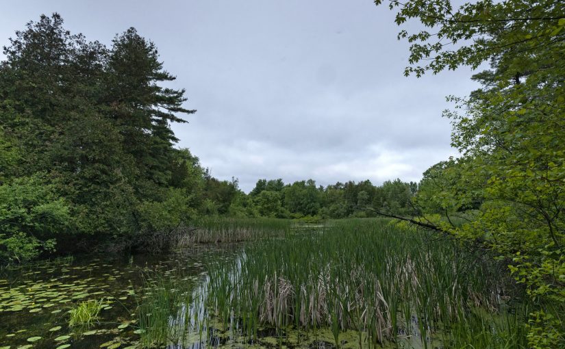 Grow the greenbelt climate change