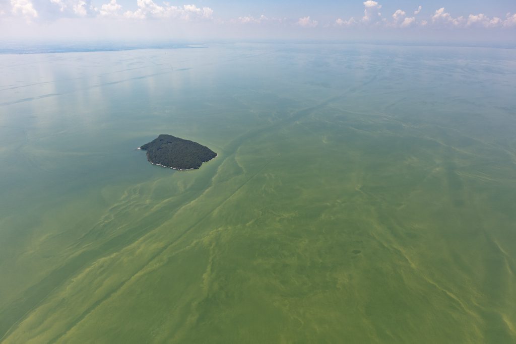 2019 algae bloom Lake Erie