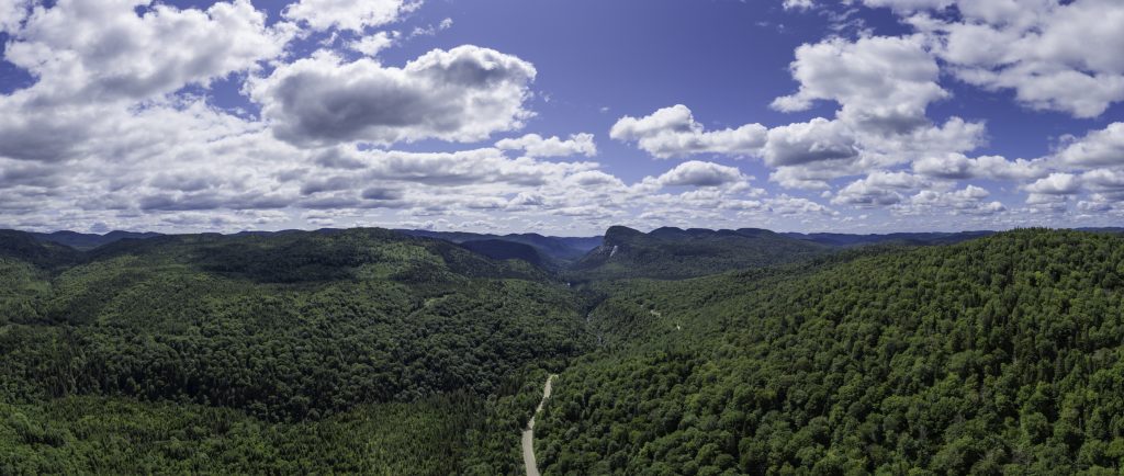 An aerial view of the boreal forest in Quebec. The boreal holds 100 times as much carbon as Canada emits each year.