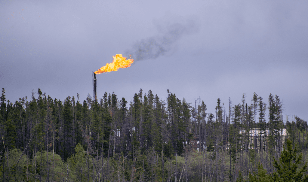 A methane flare rises above a tree canopy. The oil and gas industry is fastest growing source of carbon emissions in Canada. 