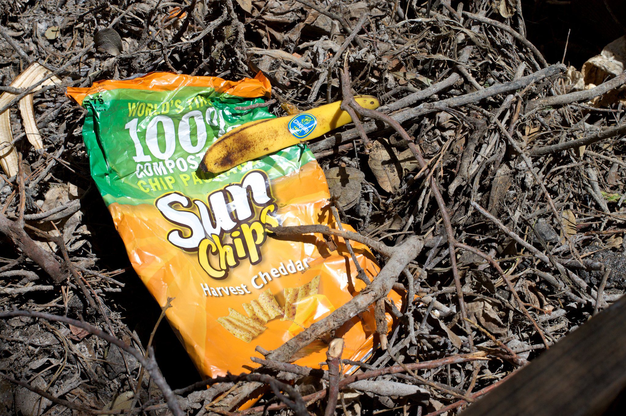 compostable sun chip bag