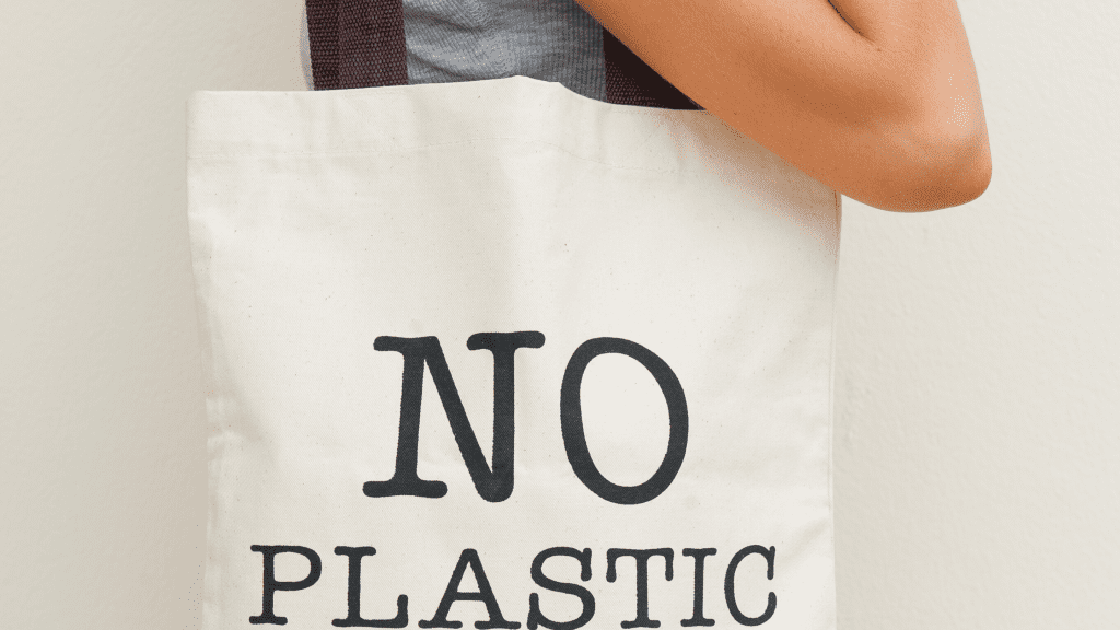 No Plastic reusable shopping bag