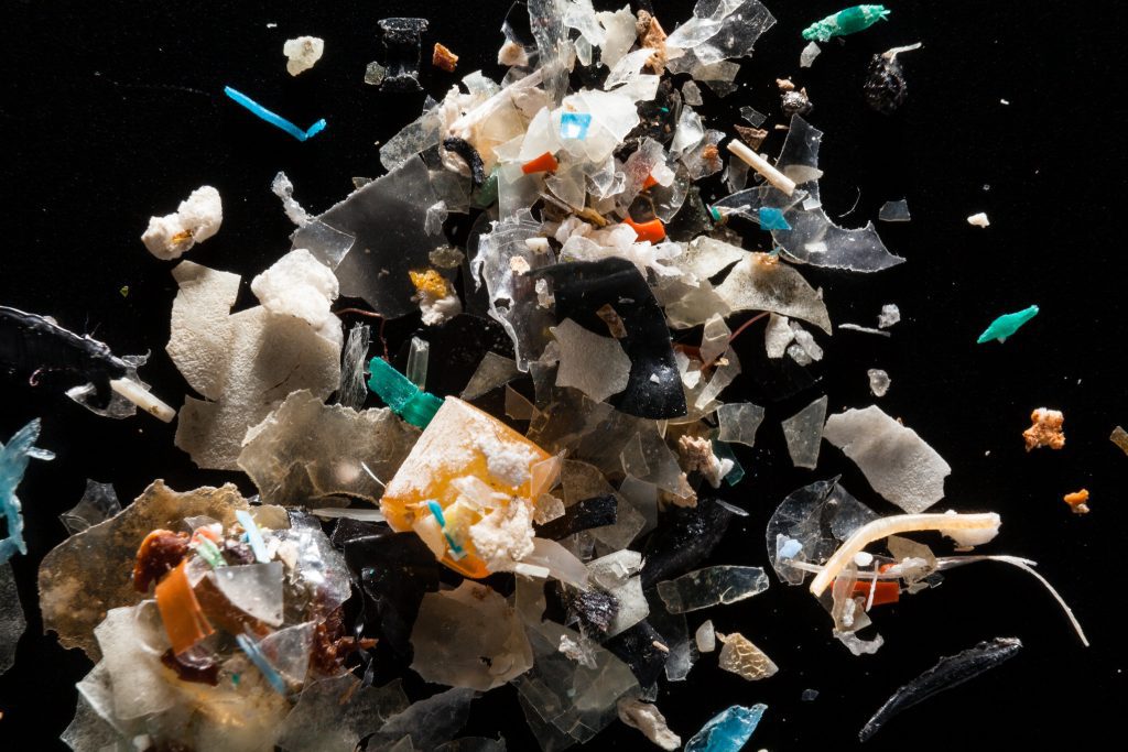 Microplastics from the Rhode River are pictured at the laboratory of Dr. Lance Yonkos in the Department of Environmental Science & Technology at the University of Maryland. Photo Credit: Chesapeake Bay Program