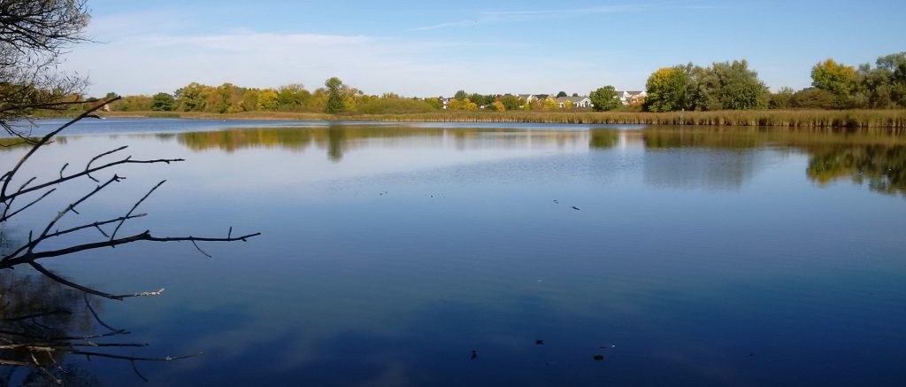 Carruthers Creek MZO