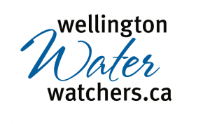 Water Watchers logo higher res