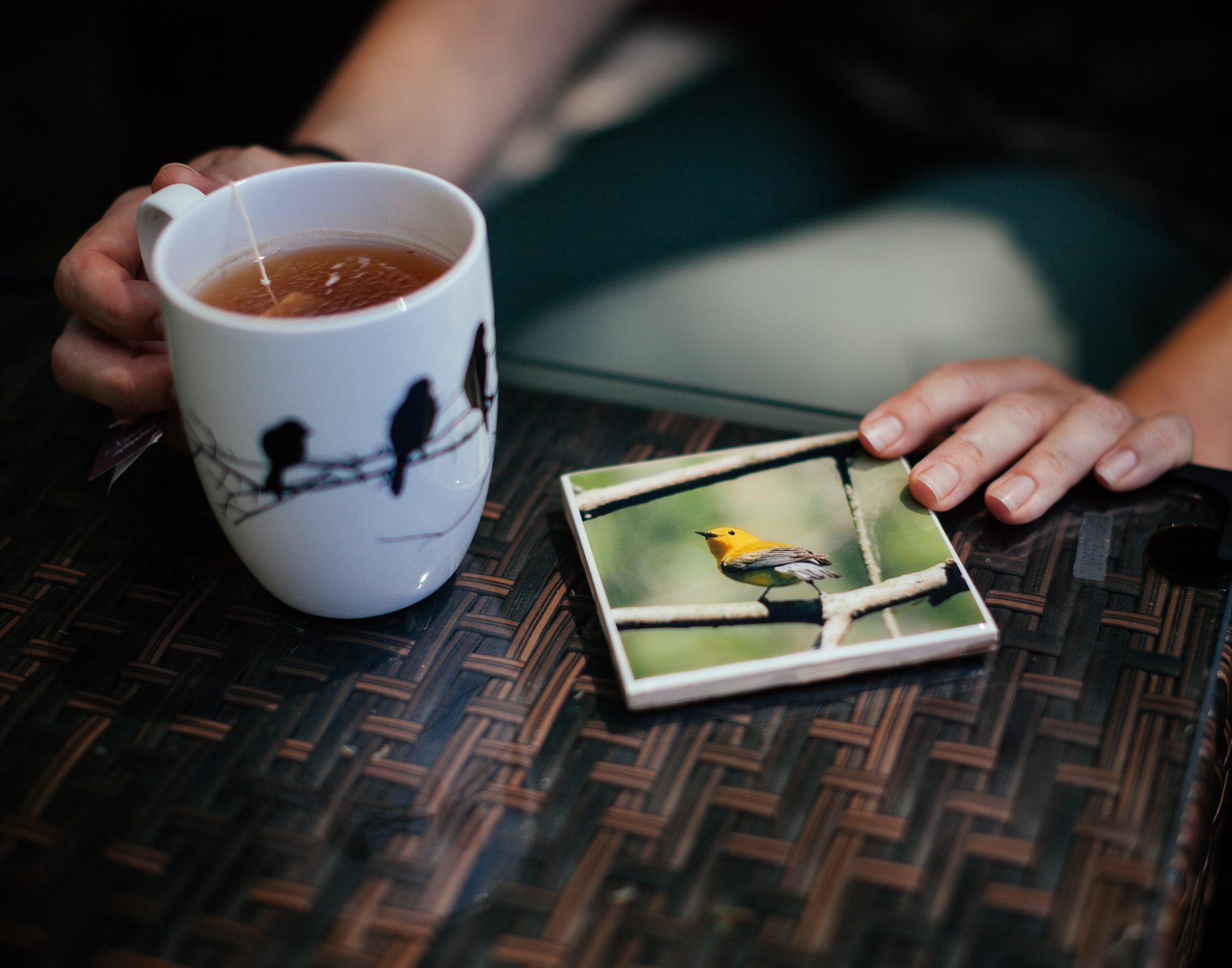 Besides watching the prothonotary warbler, Heidi loves photographing them. She turned this particular photograph into a coaster. 
