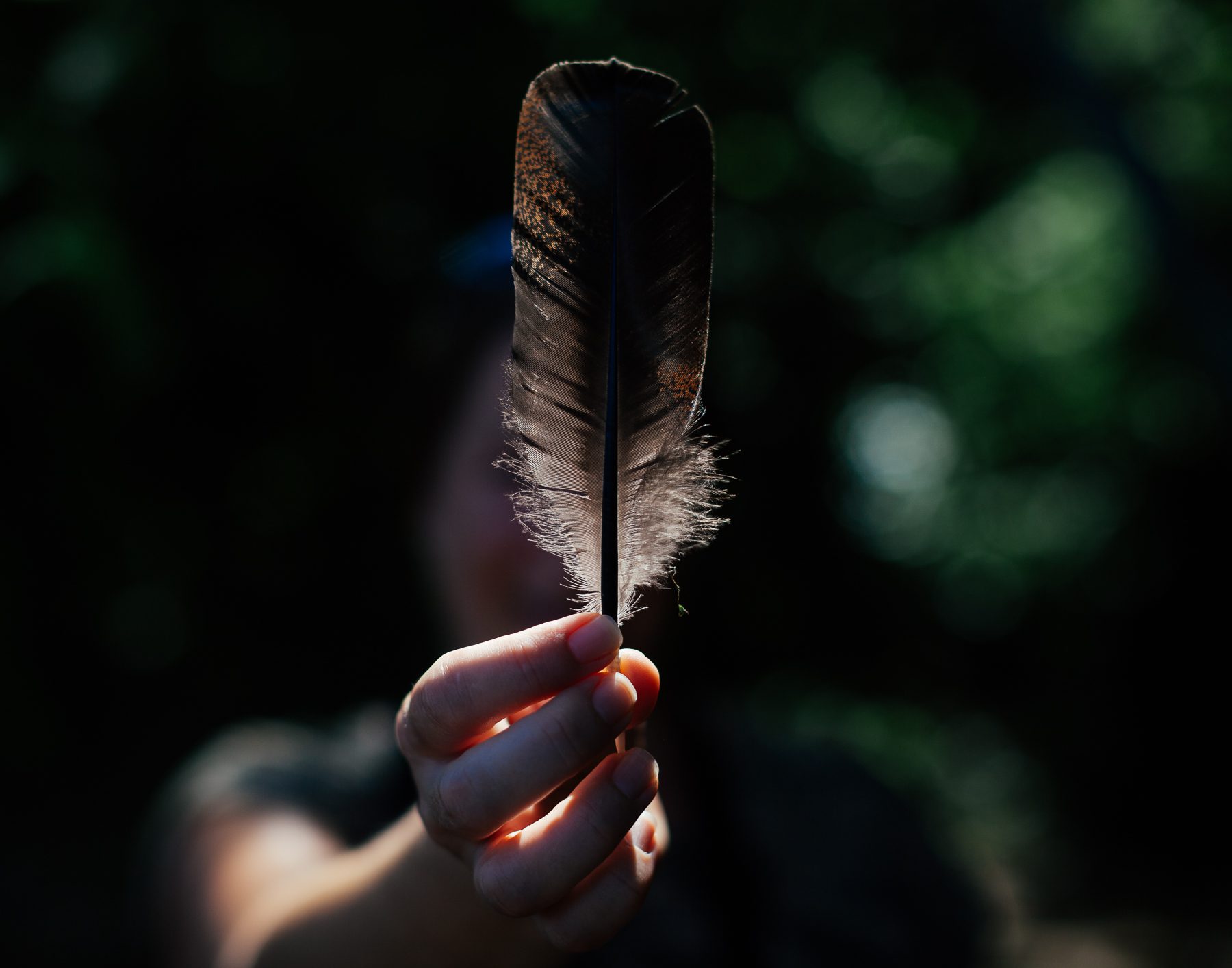 Heidi holds up a feather she found while hiking in Point Pelee National Park  — one of approximately 6,000 feathers found on the average wild turkey.  Wild turkeys were extirpated (locally extinct) from Ontario as a result of habitat loss and overhunting. Reintroduction efforts began in the 80s, and the species is now common in southern Ontario.
