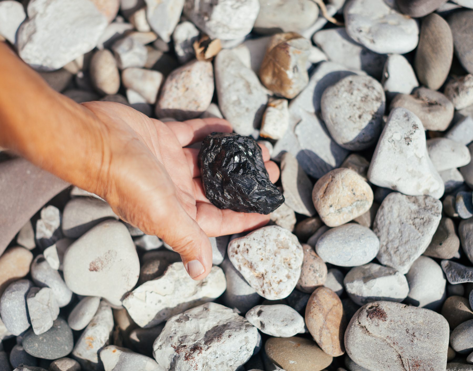 John studied Geology in the 70s and is proud of his collection of rocks and fossils. He has found many chunks of coal while walking along the shores of Lake Erie. John figures the coal was either cargo on ships going from Buffalo to Detroit or fuel on old coal-fired ships.