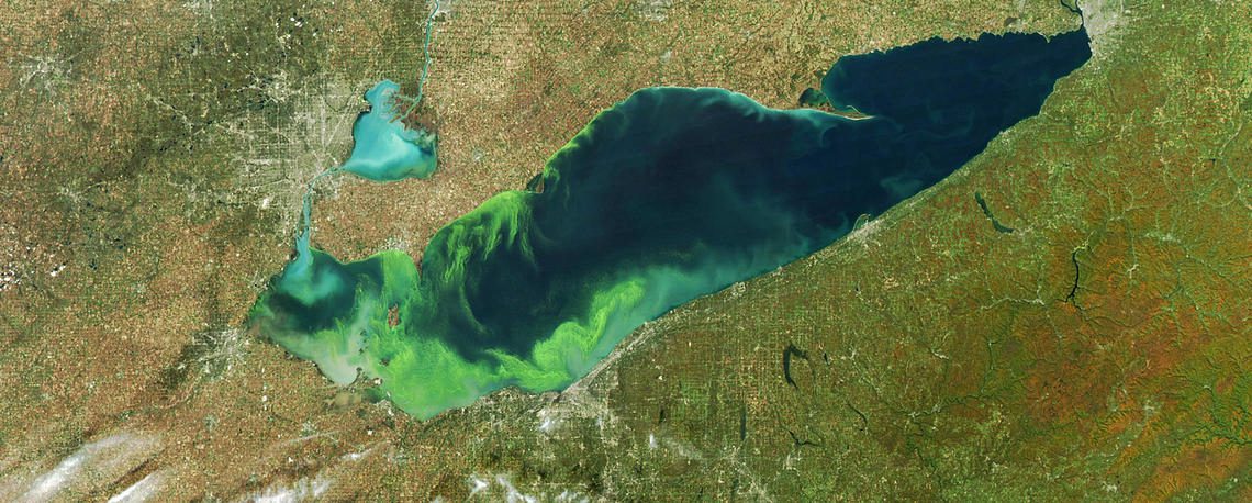 Photo by NASA of 2011 algae bloom, the worst Lake Erie had experienced in decades.