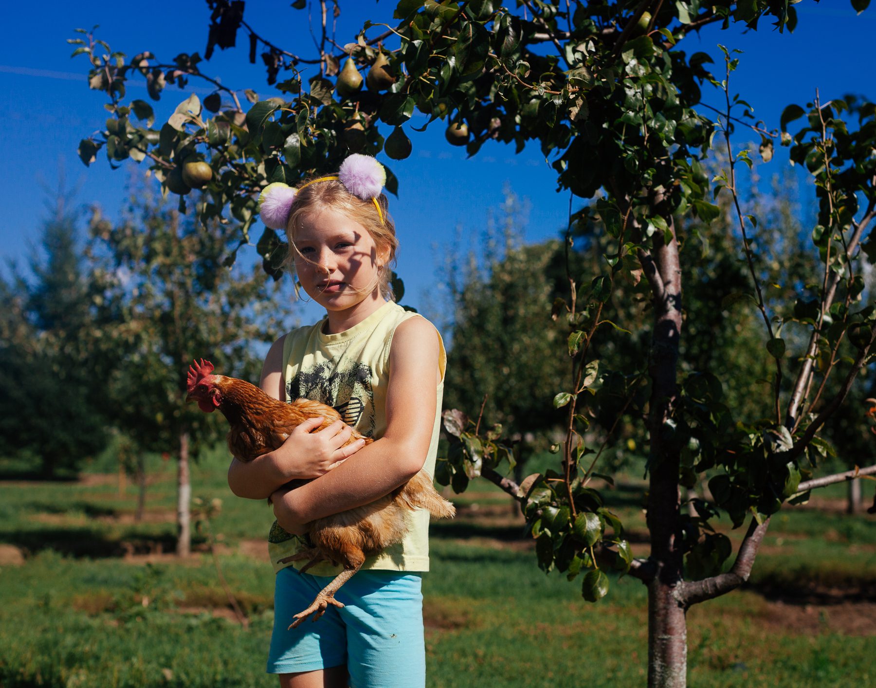 Scarlet, age seven, started a business collecting and selling the eggs from her 25 chickens.
