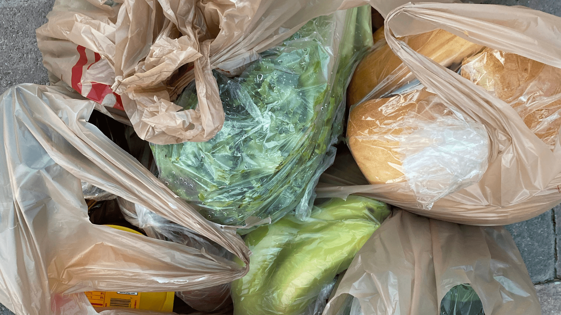 groceries in plastic bags
