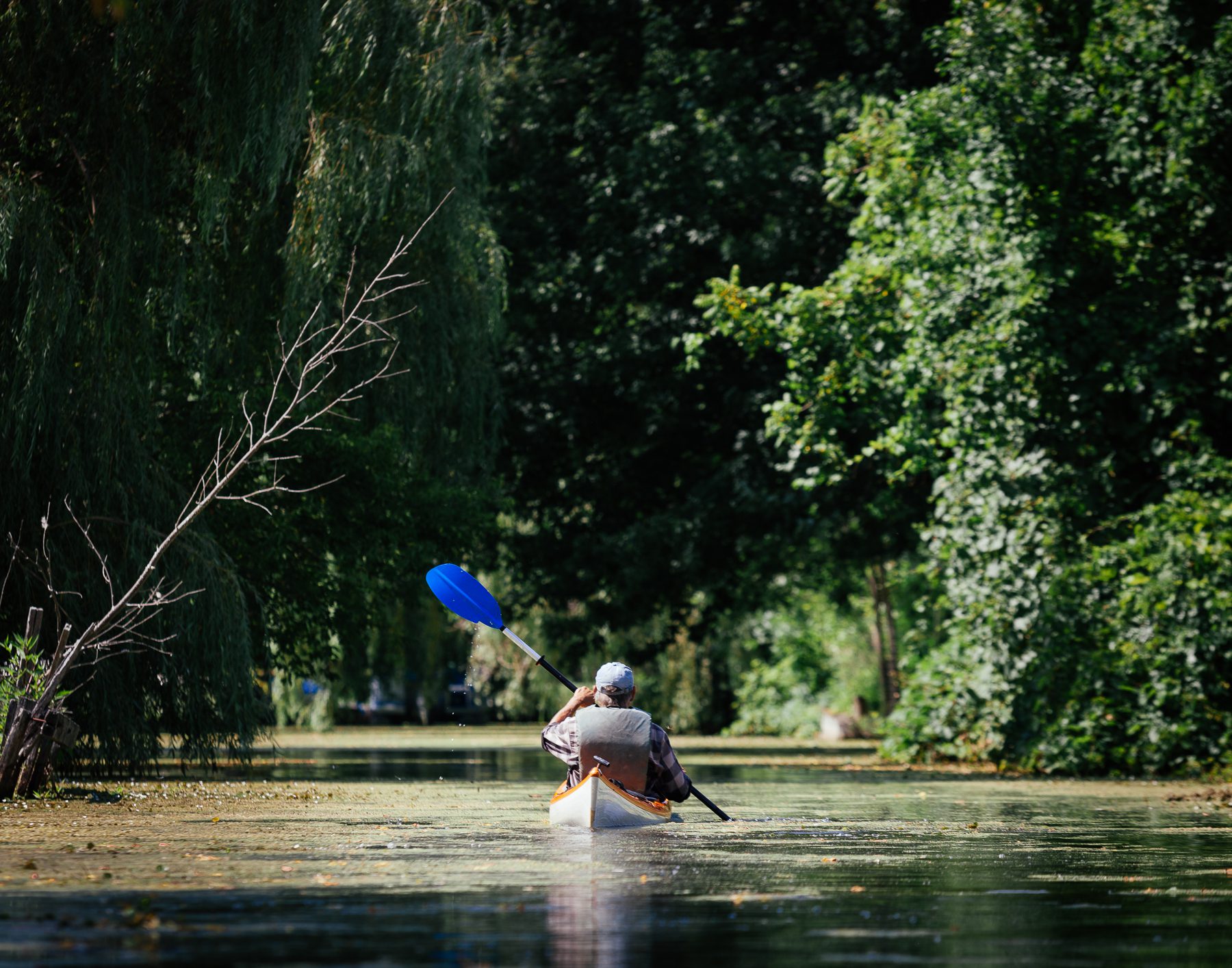 In less than a five-minute walk with his kayak on wheels, Ken can get from his house to Sterling Creek, where he launches to get out into the lake.