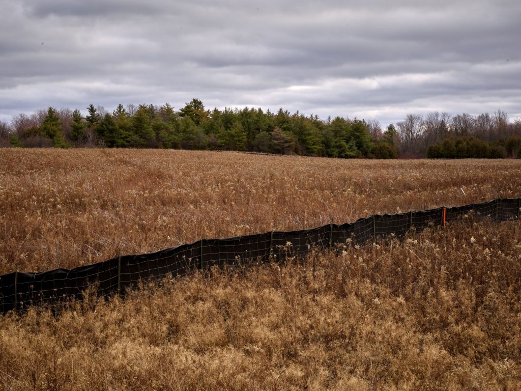 Lower Duffins Creek Wetland in Pickering. Photo by Philip Jessup