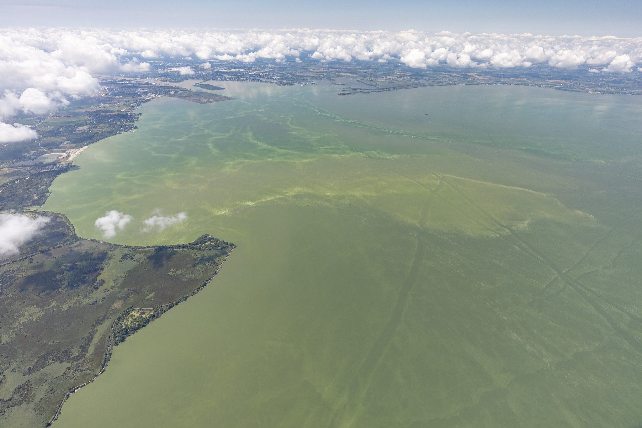 Aug 19, 2019 Lake Erie Harmful Algal Bloom. Phot Credit: Zachary Haslick, Aerial Associates Photography Inc, www.skypics.com