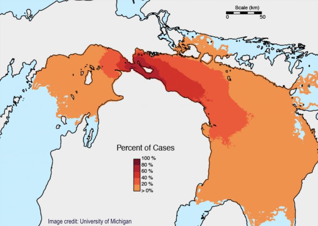 The areas that would be impacted if the aging Line 5 pipeline spilled in the Strait of Mackinac