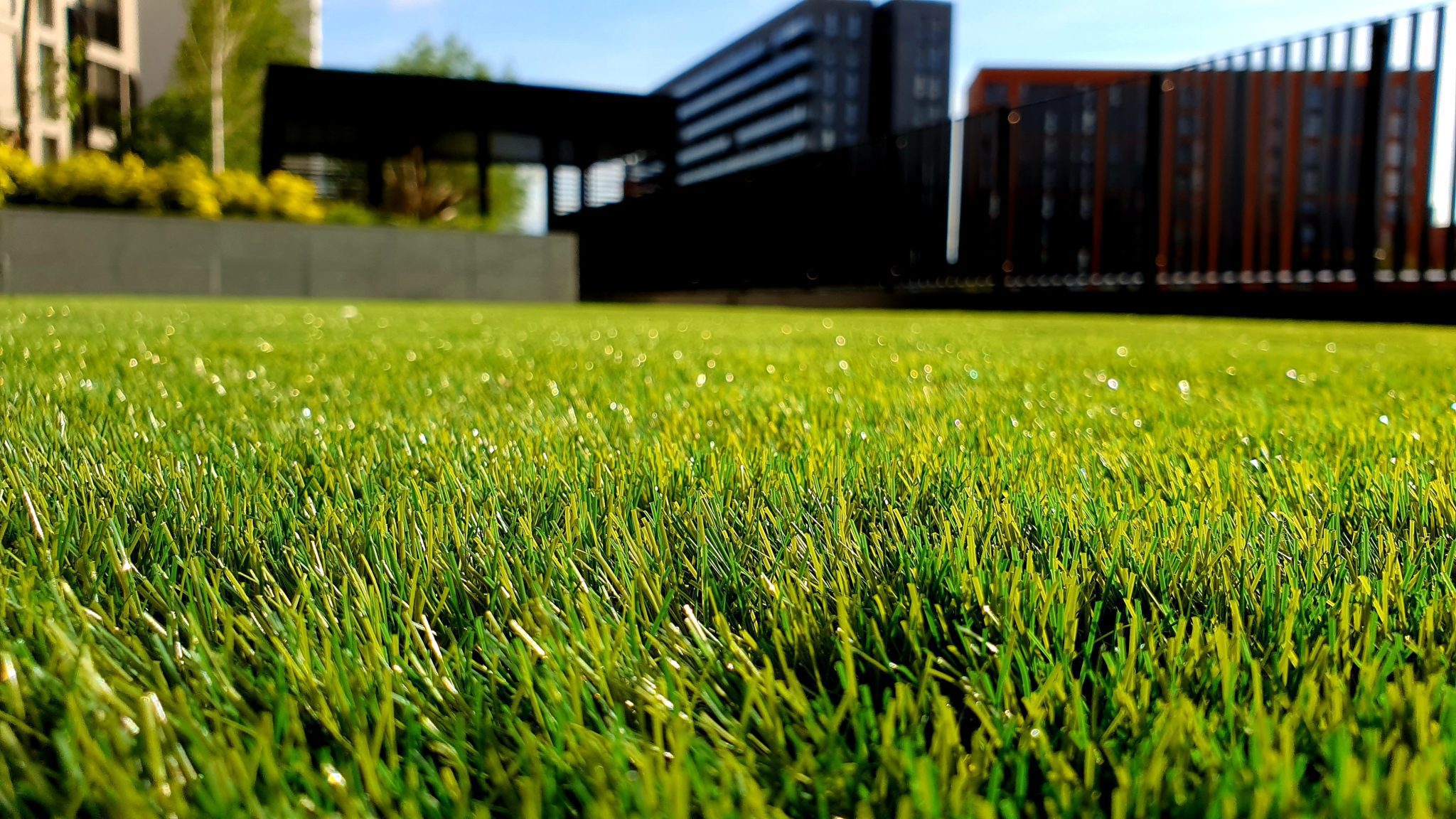 Short Takes - Big Hair and Plastic Grass