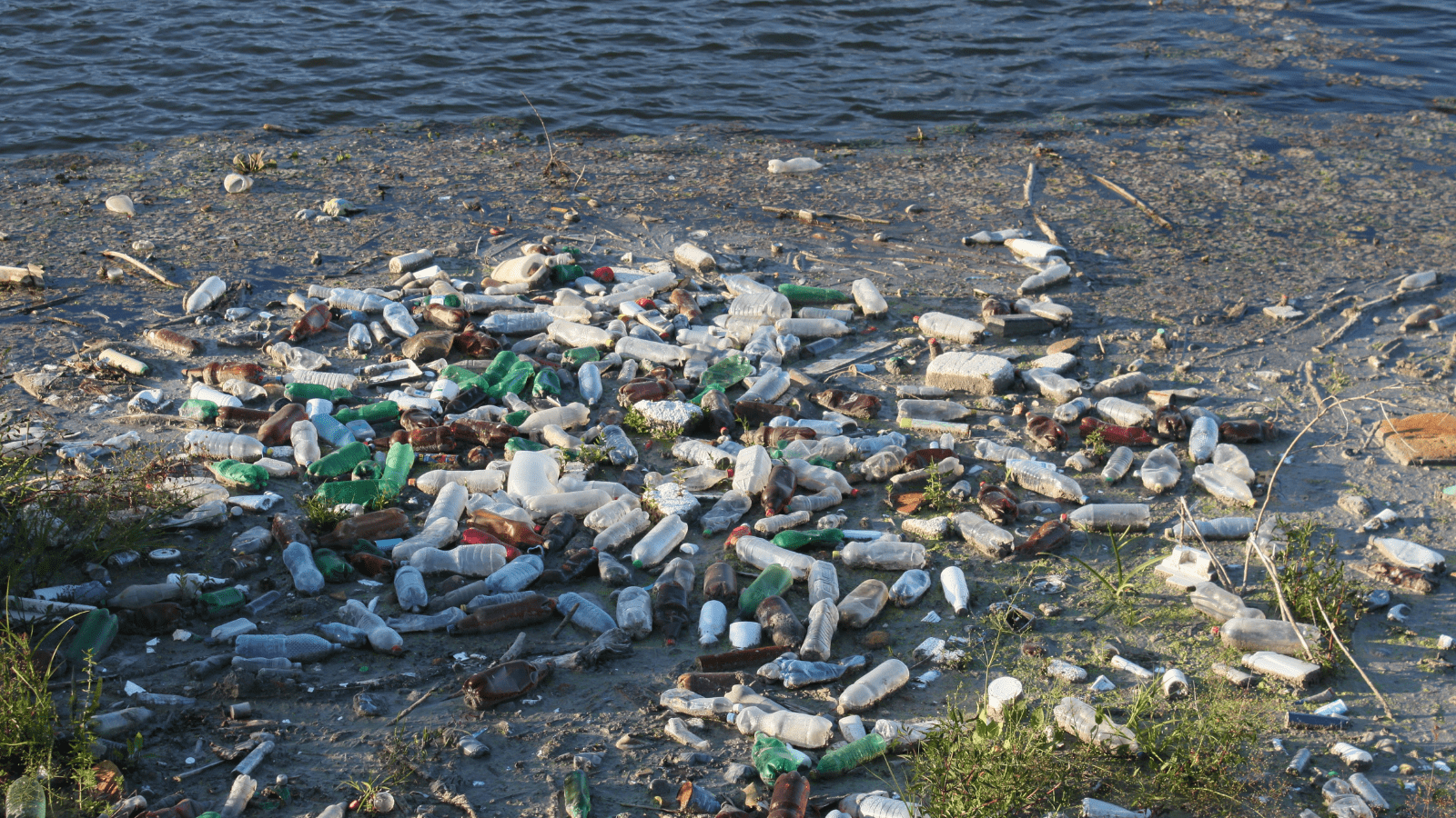 The Next Ontario Government Must Tackle Plastic Pollution