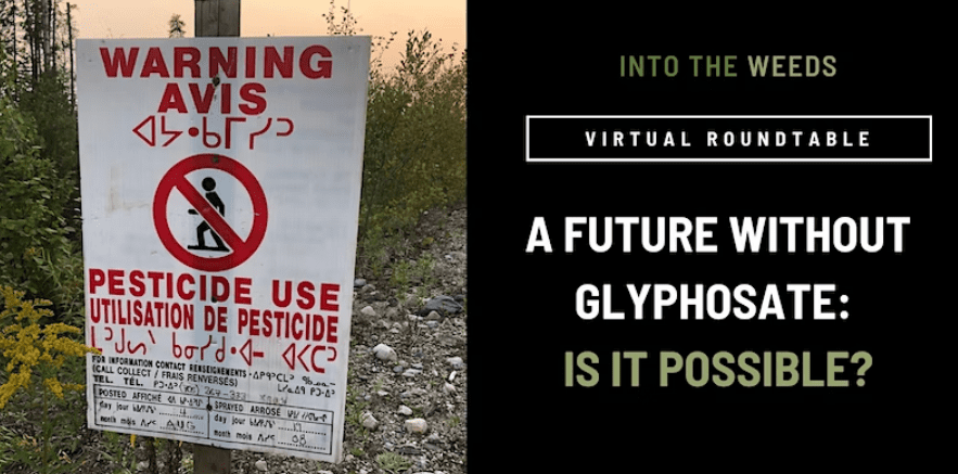 glyphosate