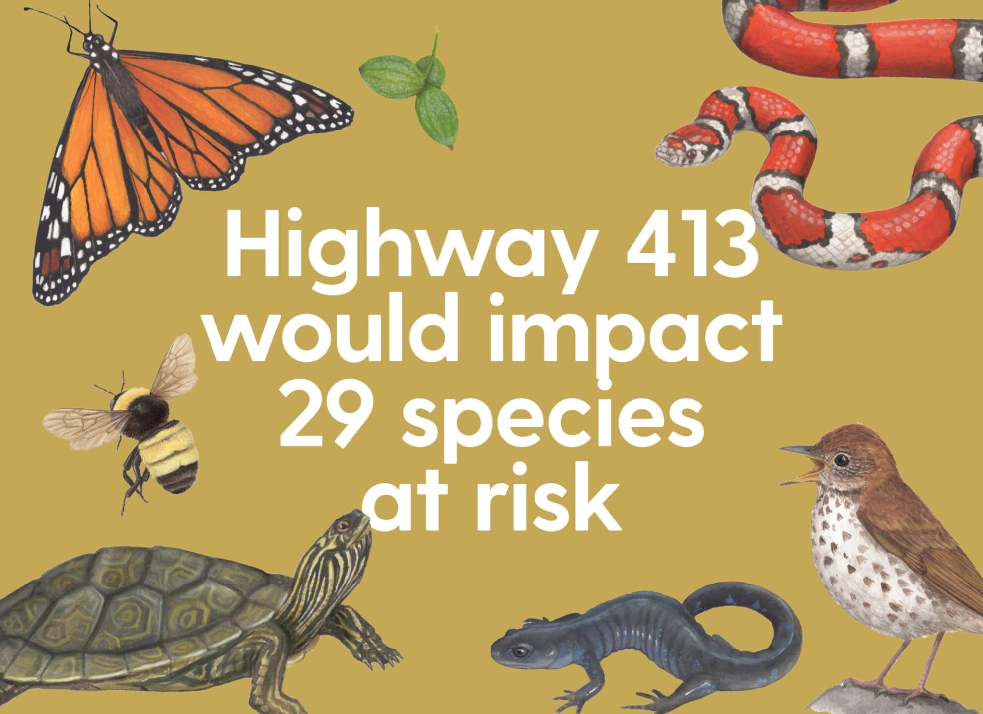 HIGHWAY 413: - Environmental Defence