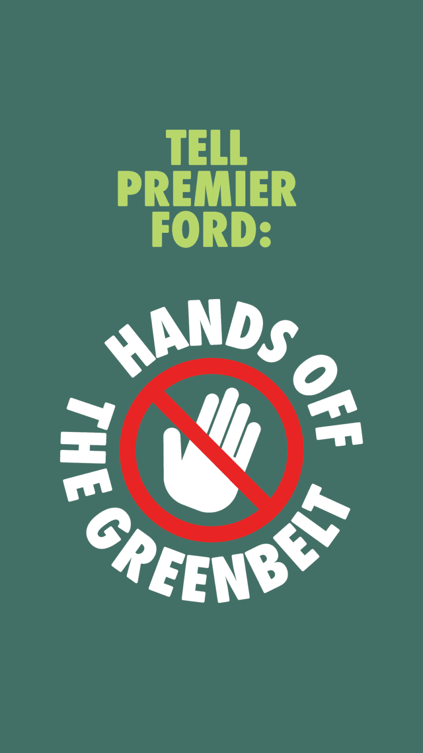 Hands Off The Greenbelt Social Media Images Environmental Defence
