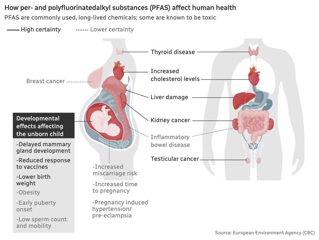 Toxic PFAS 'forever chemicals' found in drinking water across