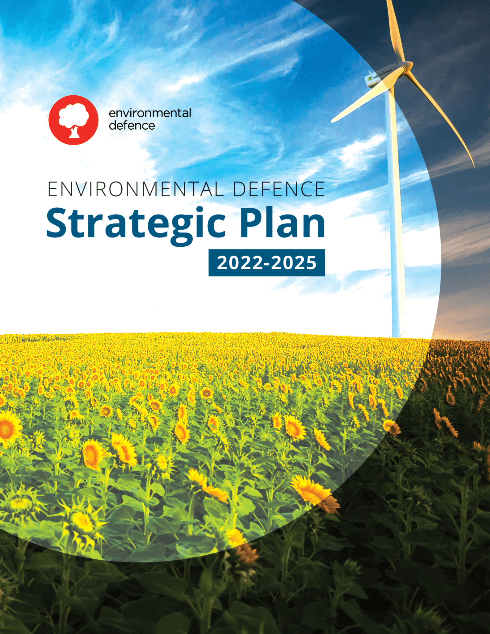 Our 20222025 Strategic Plan Environmental Defence