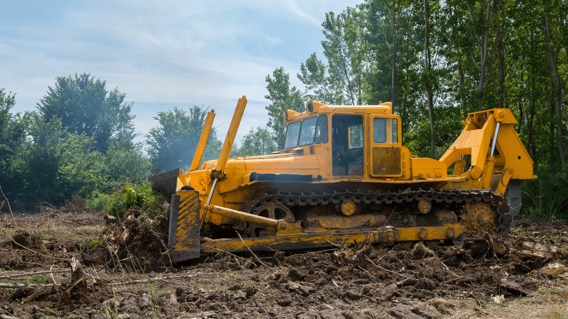 Natural land being paved over and developed