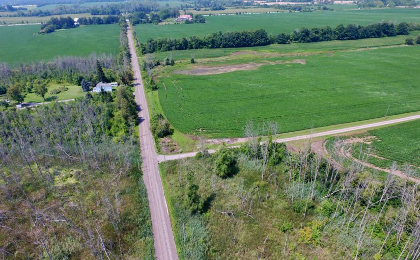 Aerial photo of Dufferin Rouge Agricultural Preserve - the largest area removed from the Greenbelt by the Ontario government