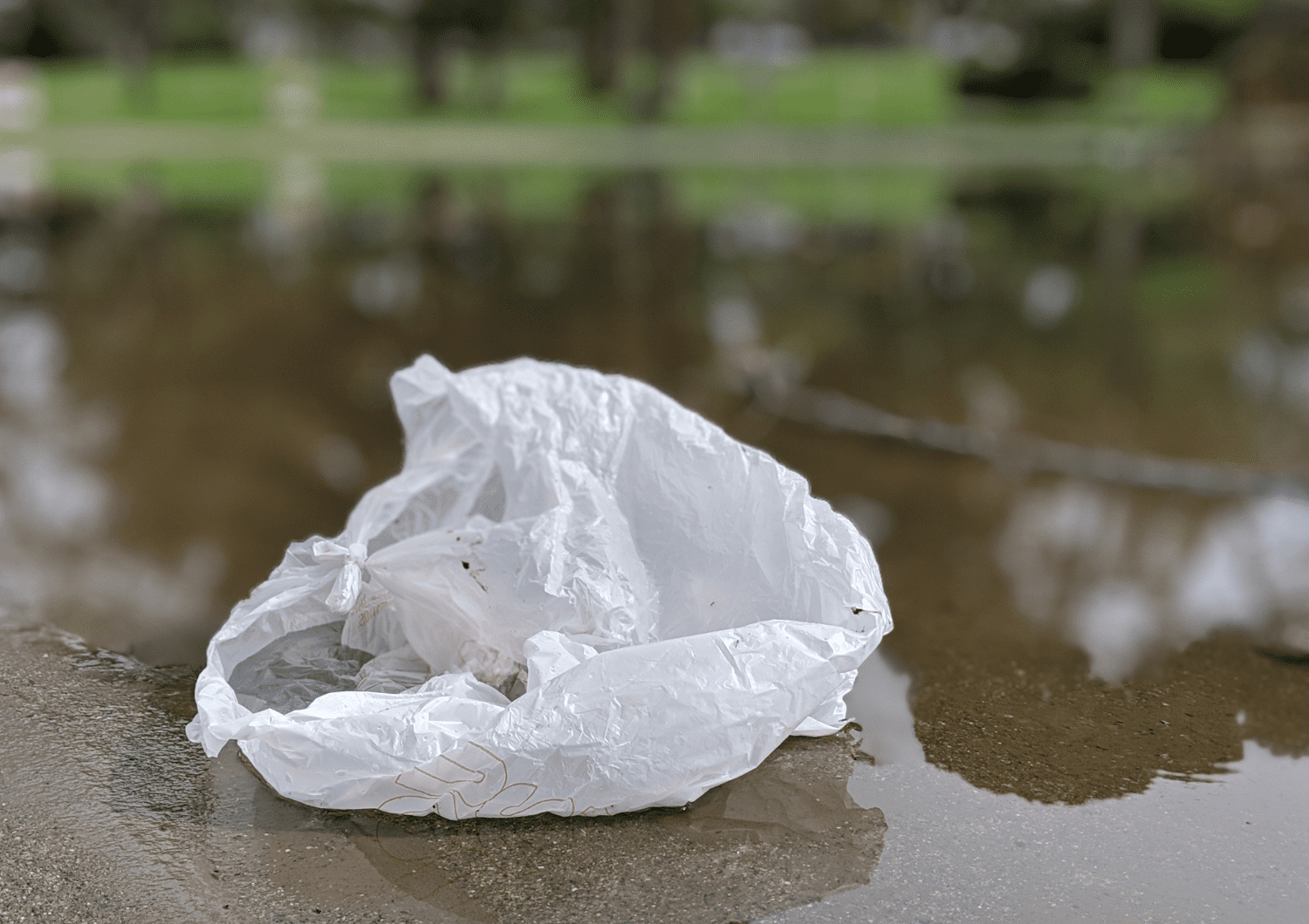 What to Do with All Those Reusable Bags - Environmental Defence