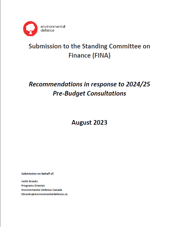 Recommendations in response to 2024/25 Federal Pre-budget Consultations