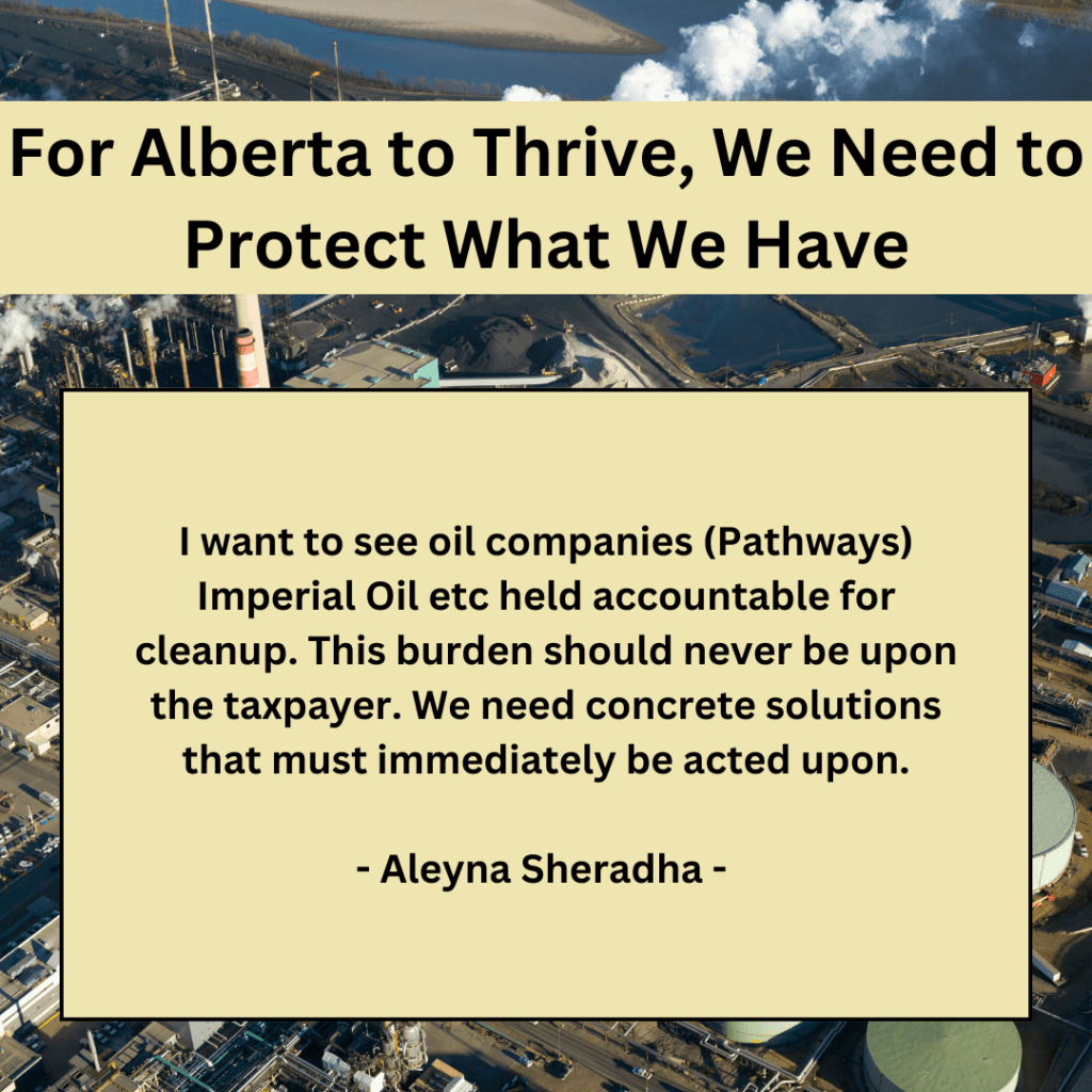 A letter to the editor on tailings by Aleyna Sheradha