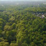 aerial shot of a suburb encroaching on a forested area